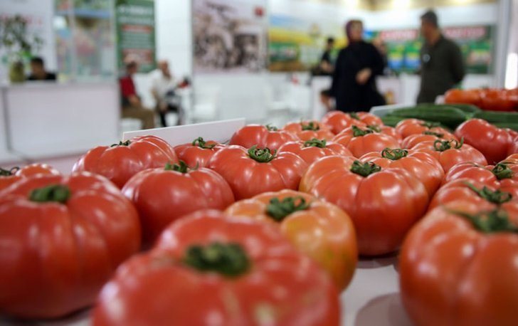 26. Hasyurt Tarım Fuarı 26 Nisan'da Kapılarını Açacak