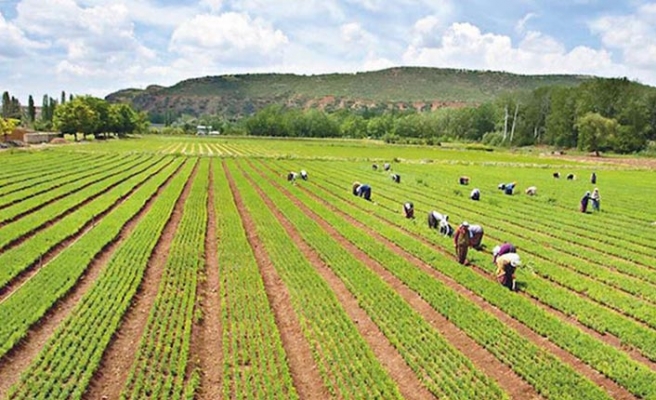 15. Göller Bölgesi Tarım ve Hayvancılık Fuarı İptal Edildi